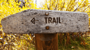 A rough, wooden sign with the word "Trail" in all capital letters and an arrow pointing to the left.