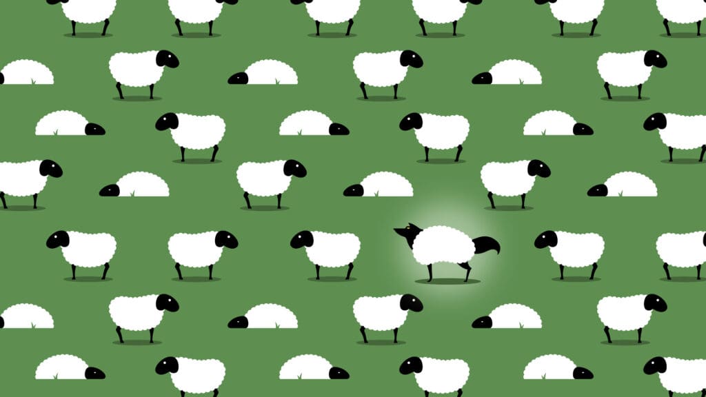 illustration of a wolf in sheep's clothing amongst sheep